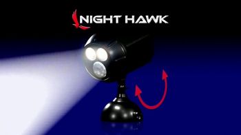 Night hawk
